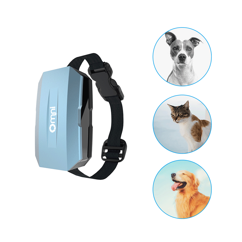 熊猫体育宠物定位器可以解决哪些问题？